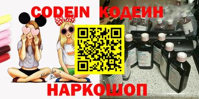 крисы Кингисепп