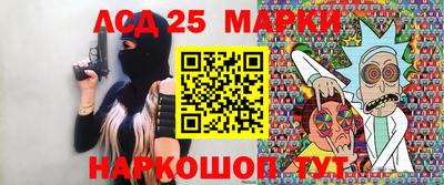 крисы Кингисепп