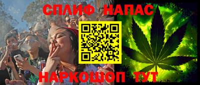 крисы Кингисепп
