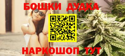 крисы Кингисепп