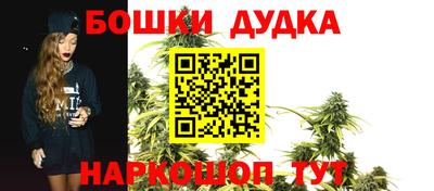 крисы Кингисепп