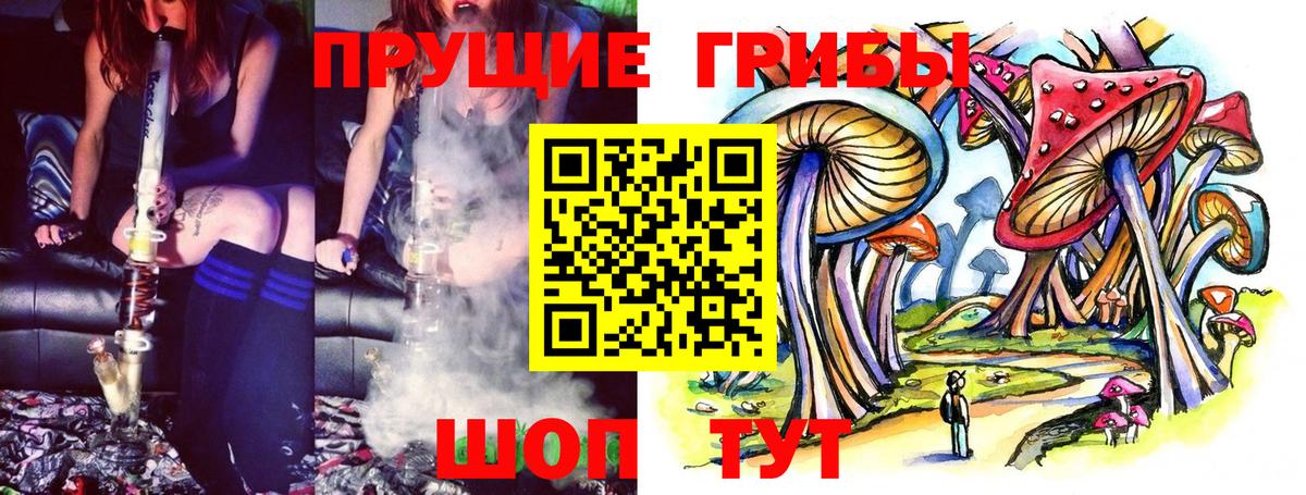 Евпатория  Галлюциногенные грибы Psilocybe  Вход с VPN 