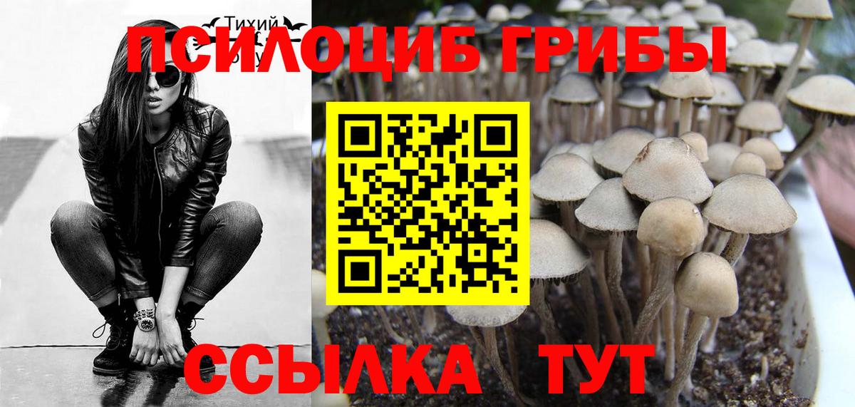 Псилоцибиновые грибы Psilocybine cubensis Евпатория